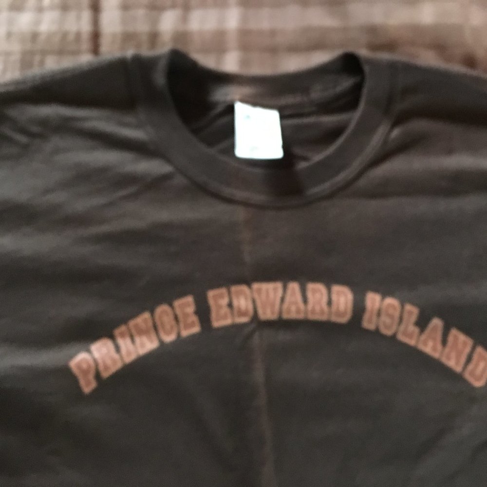 Men's T-shirt - logo